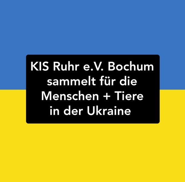 Read more about the article März 2022 -Krieg in der Ukraine