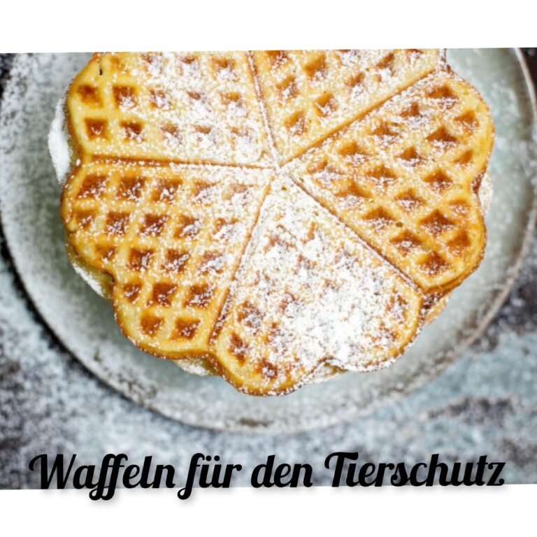 Read more about the article 9. Dezember 2023 – Waffelessen