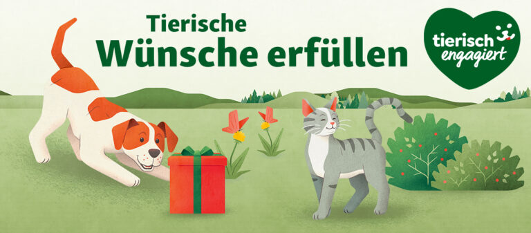 Mehr über den Artikel erfahren Wünschebaum im Fressnapf Wattenscheid!